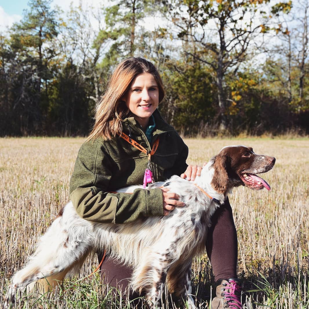 cibo naturale per cani