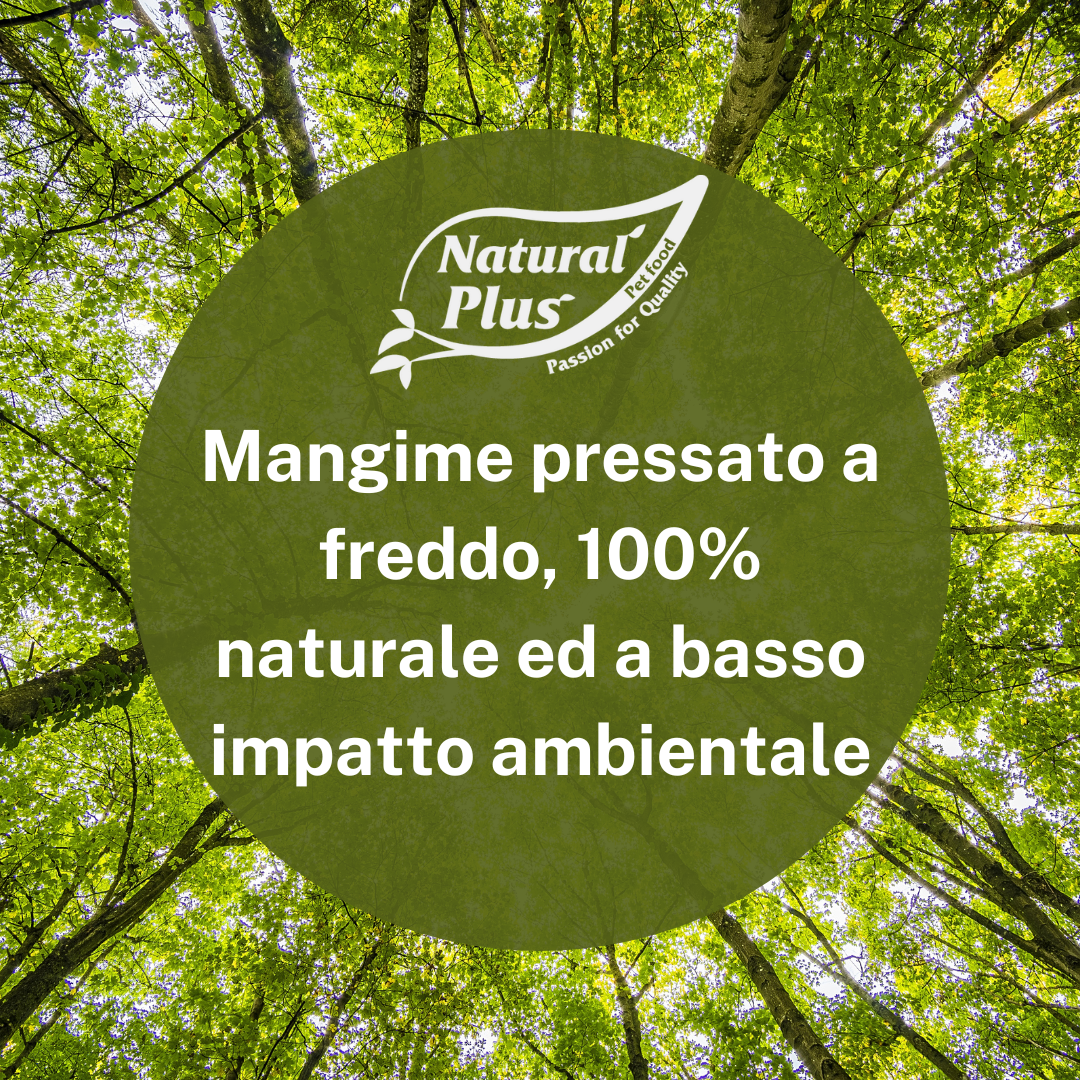 cibo naturale per cani